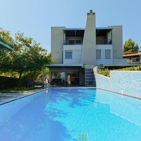 Deluxe Chrousso Pool Villa Paliouri Eksteriør billede