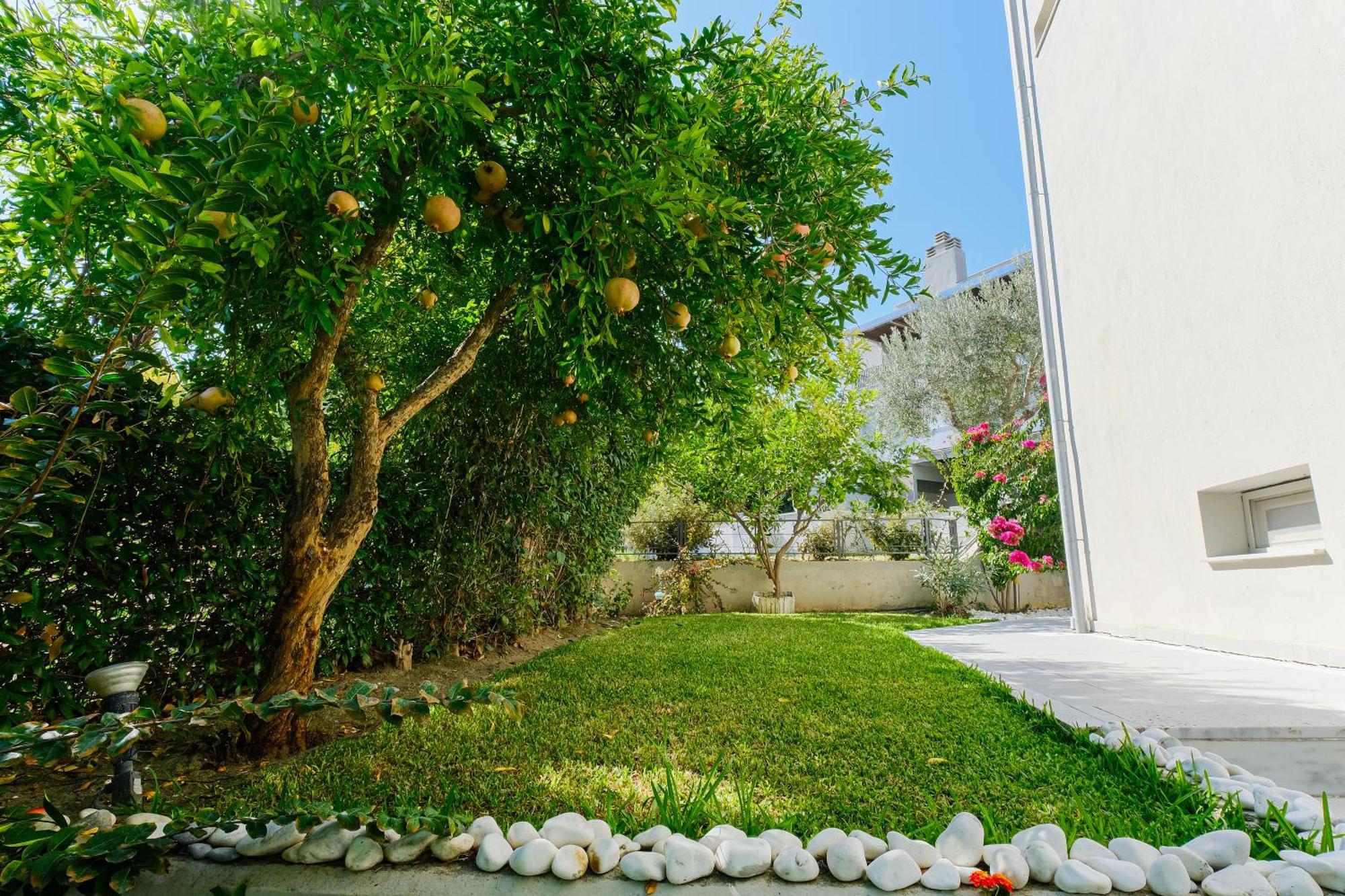 Deluxe Chrousso Pool Villa Paliouri Eksteriør billede